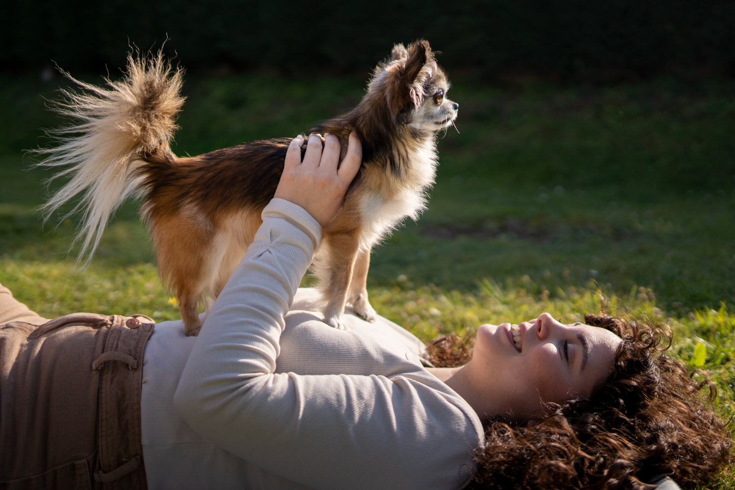 Reactive Dog Support