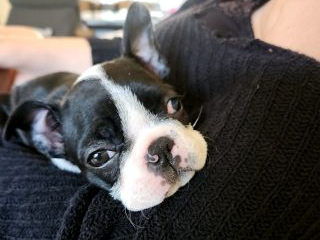 Lucy