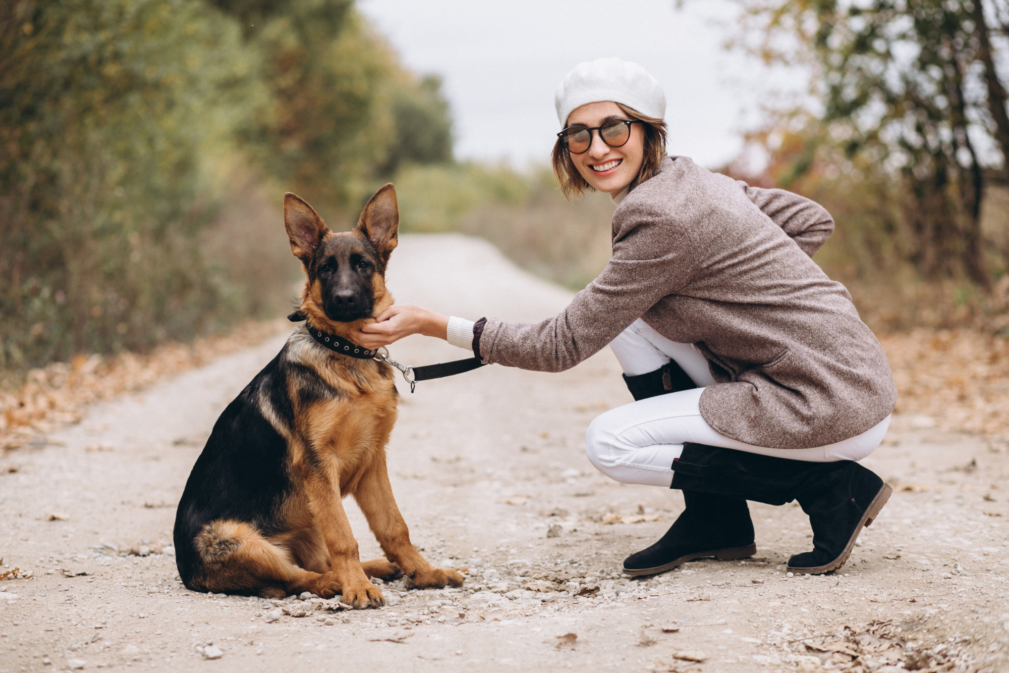 Ottawa dog trainer guiding puppy through calm structured training at home