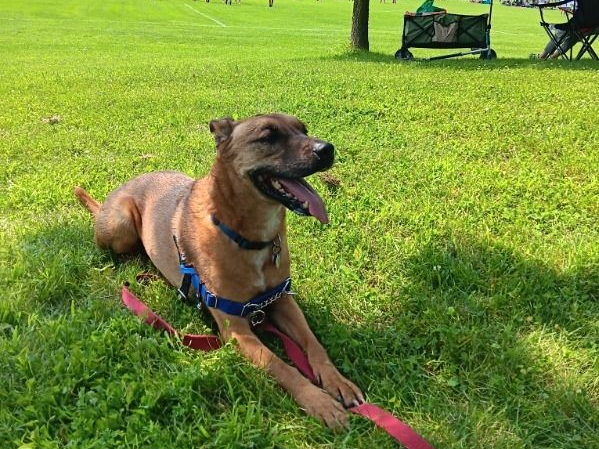 Vinny at the Park